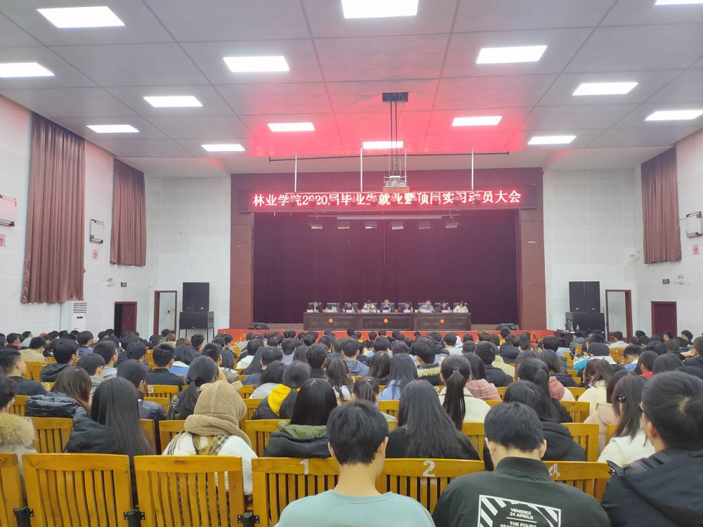 QQ圖片20191227171918.jpg