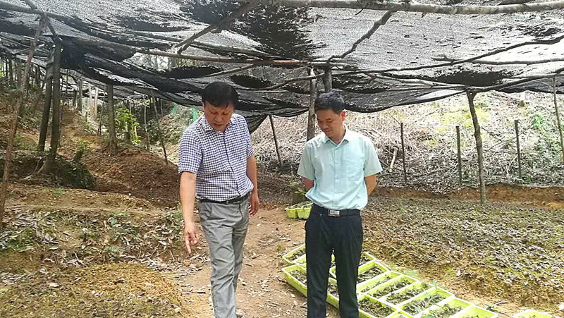 QQ圖片20170829093611.jpg