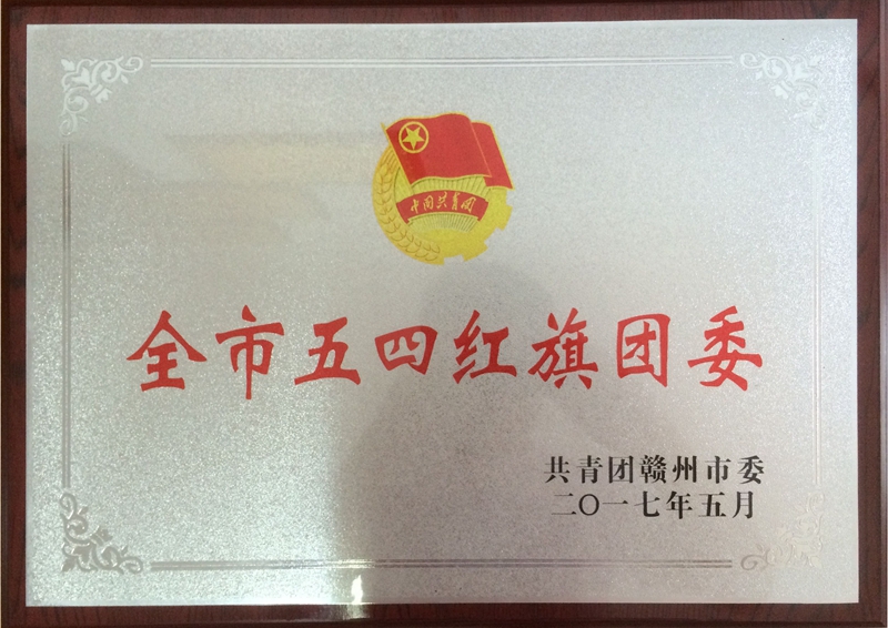2017年全市五四紅旗團委_副本.jpg
