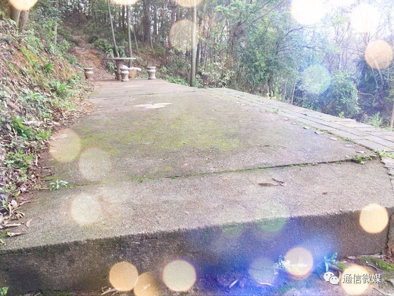 物聯(lián)網(wǎng)專業(yè)學(xué)生作品參加軟件交會.jpg