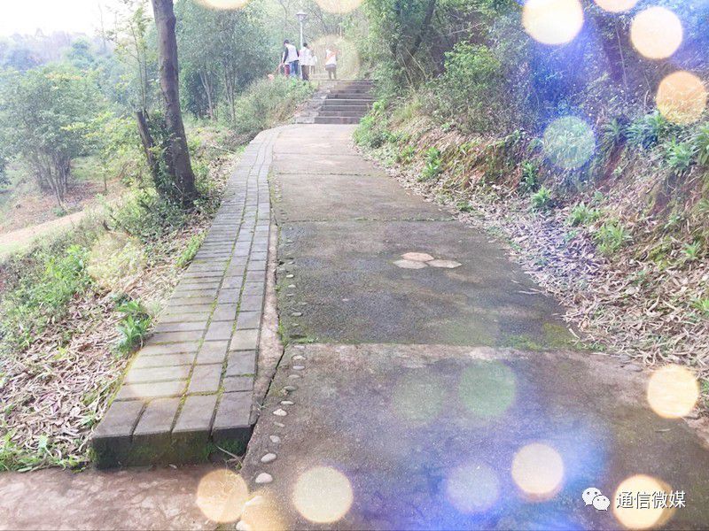 物聯(lián)網(wǎng)專業(yè)學(xué)生作品參加軟件交會.jpg