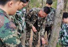 我院病蟲害防治師生團隊參加龍南林業(yè)松材線蟲病生態(tài)防治科技服務項目