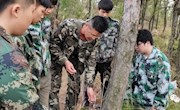 我院病蟲害防治師生團隊參加龍南林業(yè)松材線蟲病生態(tài)防治科技服務項目