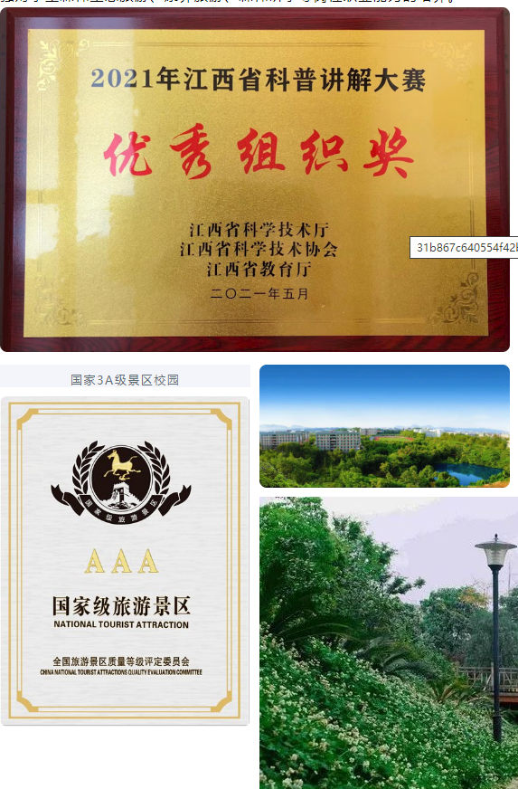 ff7fd16523b846f790bff6ac637f6f2f.Png