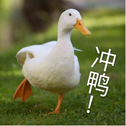 2fe507097a304a548b9812d6a52882d7.png
