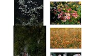 陽光心理協(xié)會開展“春影拾光，墨韻春情”主題文化實踐活動